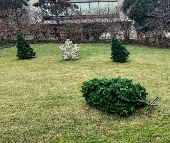 Hey, Hudson/Related! Isn't it time to put the Riverwalk Commons holiday decorations out of their (and our) misery? The artificial tree on the right has been relaxing for a couple of weeks, its partners preparing to follow suit.